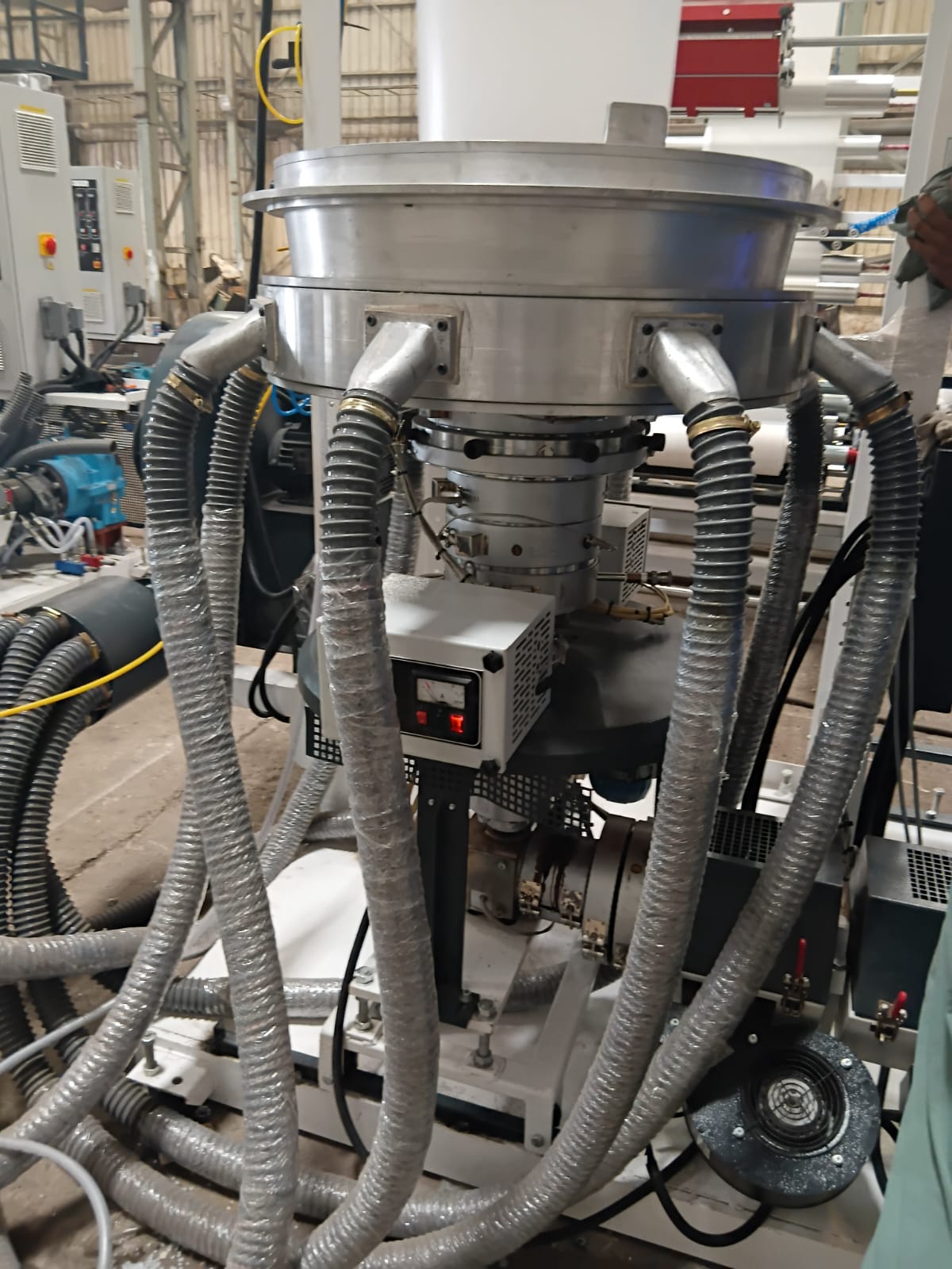 Biodegradable coffee cups